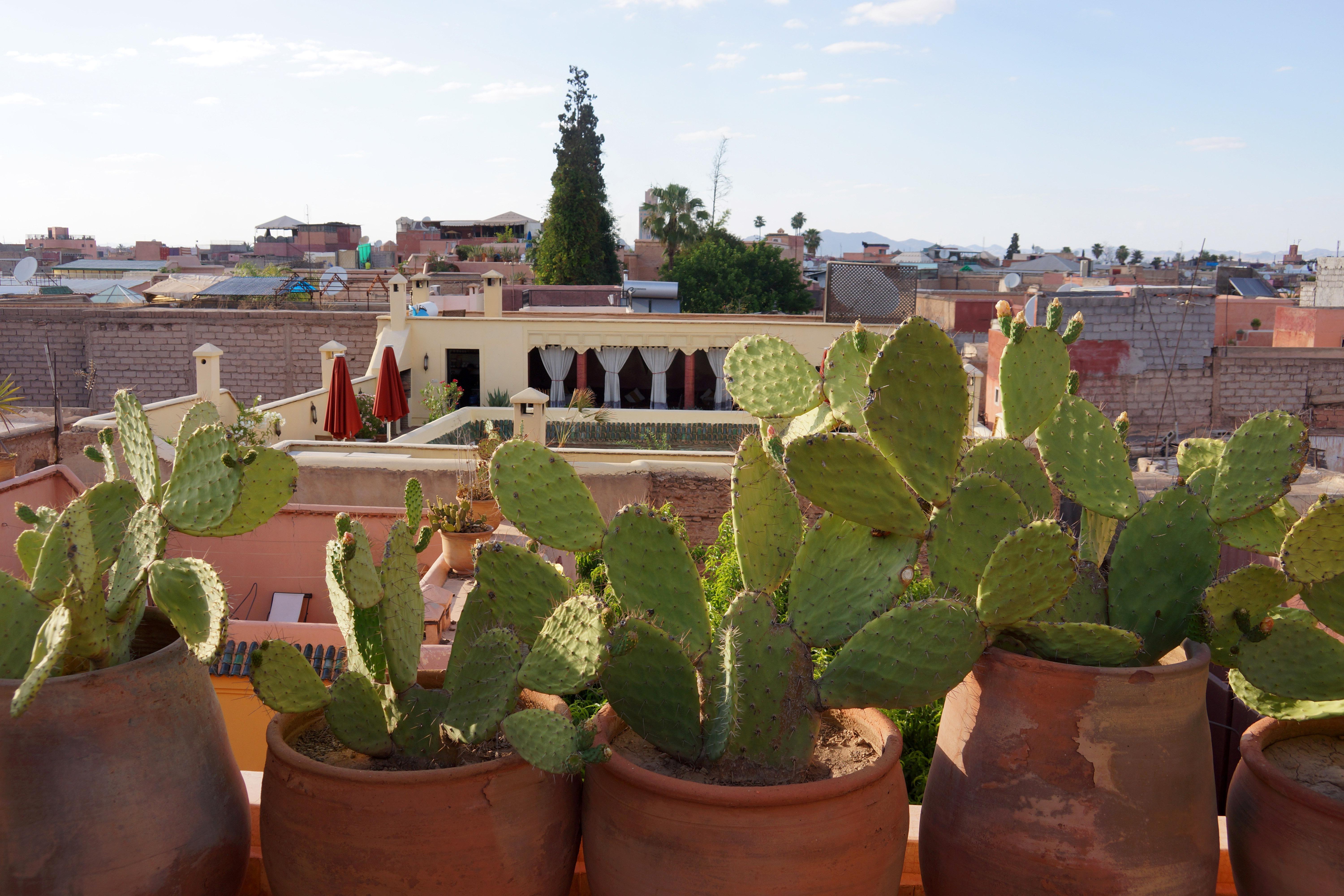 Riad Marrakiss Marrakesh Exterior foto